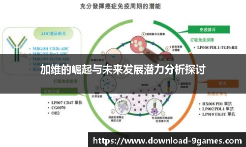 加维的崛起与未来发展潜力分析探讨